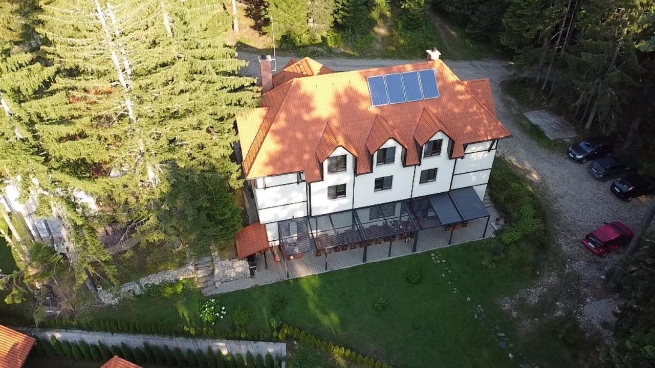 Berghof Eva - Hotel Panichishte Extérieur photo
