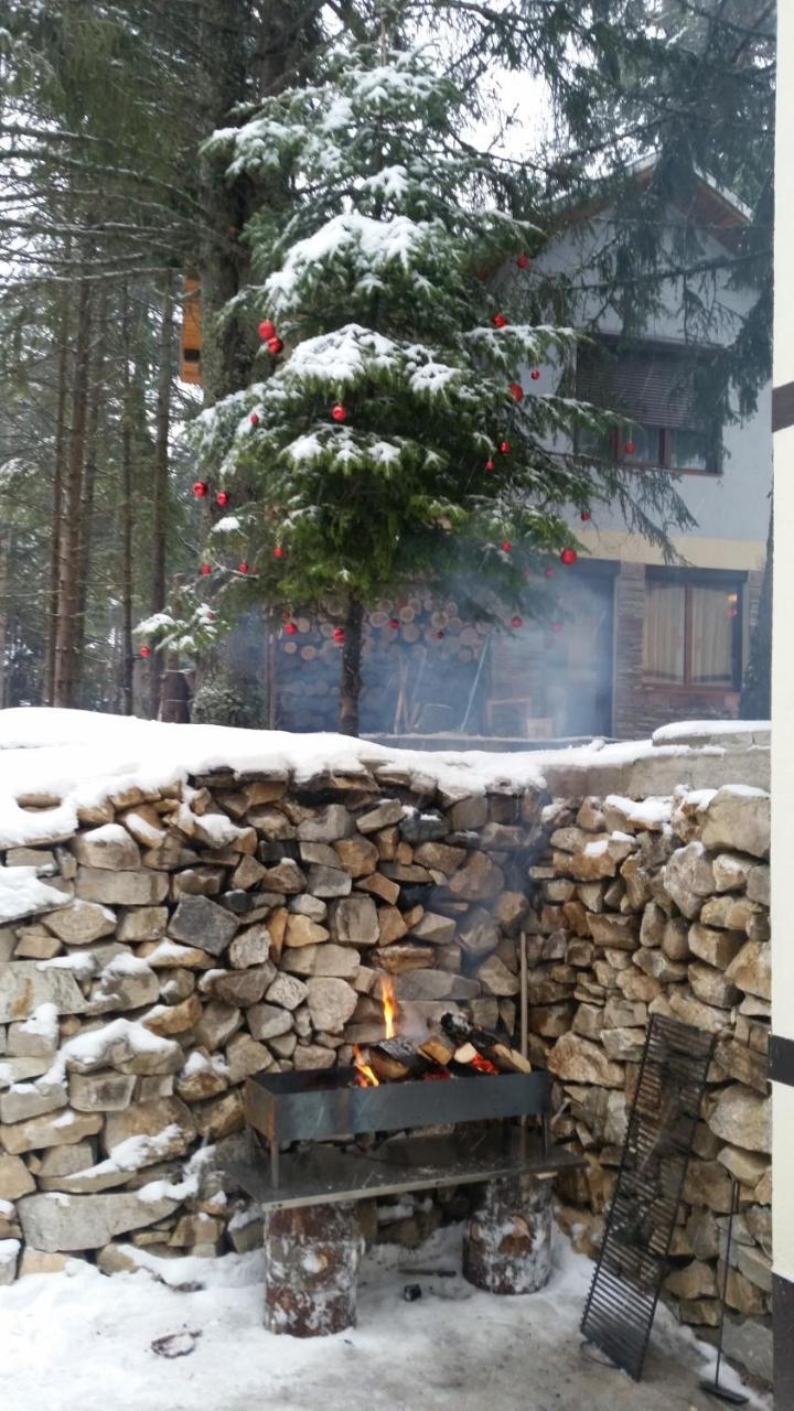 Berghof Eva - Hotel Panichishte Extérieur photo